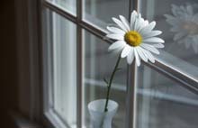 Schreinerei Reul, Frankfurt, bildet hier aus seinem Leistungsspektrum Fenster ab Schreinerei Reul Frankfurt - Fenster